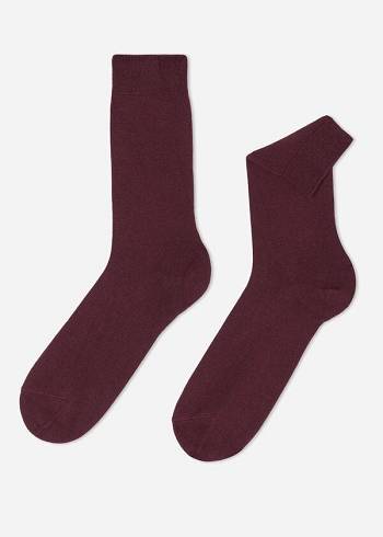 Calzedonia Crew with Cashmere Sokker Herre Bordeaux | DK2841AP