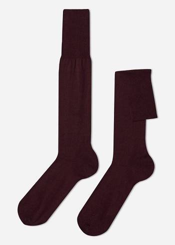 Calzedonia Lisle Thread Long Sokker Herre Bordeaux | DK2761LH