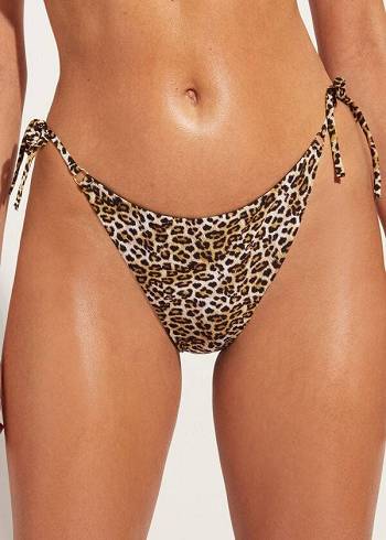 Calzedonia String Malindi Bikini Underdele Dame Brune | DK1603ZG